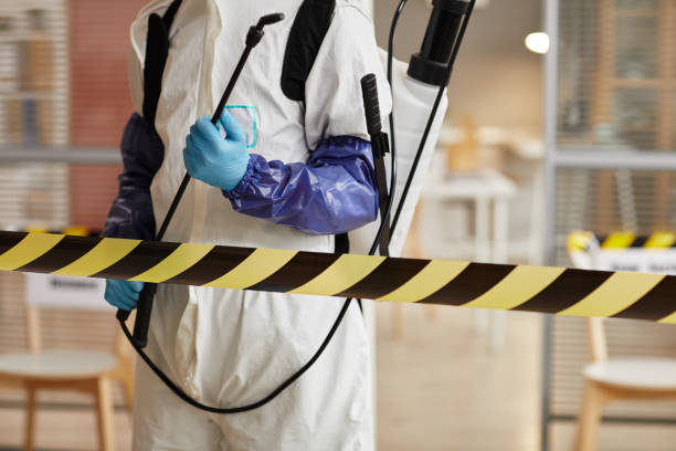 Professional Hoarding Cleanup technician working in Columbus, TX